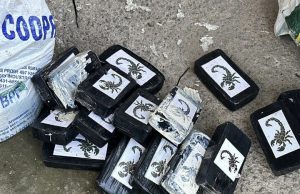 DRACO apreende mais de meia tonelada de cocaína e pasta base