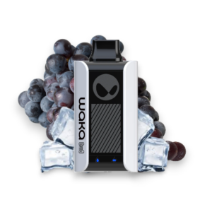 Waka SoPro PA – 10.000 Puffs – Grape Ice
