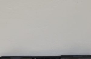 POLÍCIA CIVIL IDENTIFICA AUTOR DE DISPARO DE ARMA DE FOGO QUE MATOU CACHORRO EM GRAVATAL