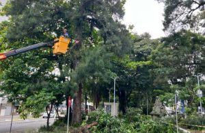 Prefeitura de Tubarão inicia melhorias nas praças centrais para mais conforto e segurança