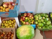 Projeto social evita desperdício e garante comida na mesa de centenas em Tubarão