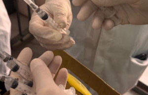 Presídio Regional de Tubarão recebe ação de vacinação contra Influenza