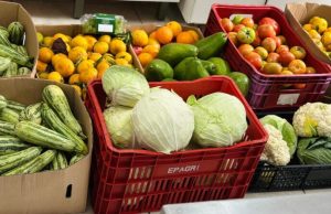 Programa Banco de Alimentos já soma nove toneladas de mantimentos recebidos em 2025