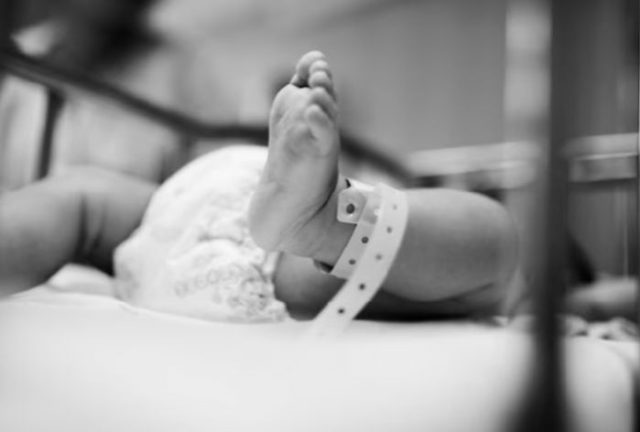 WhatsApp Image 2025-09-08 at 11.29.31