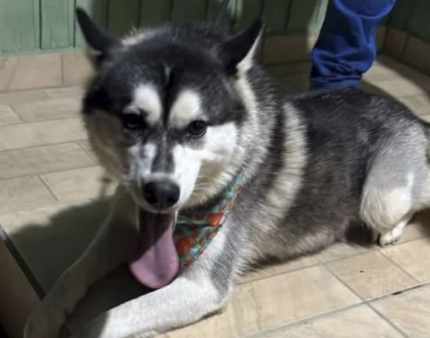 WhatsApp Image 2025-09-11 at 07.13.08