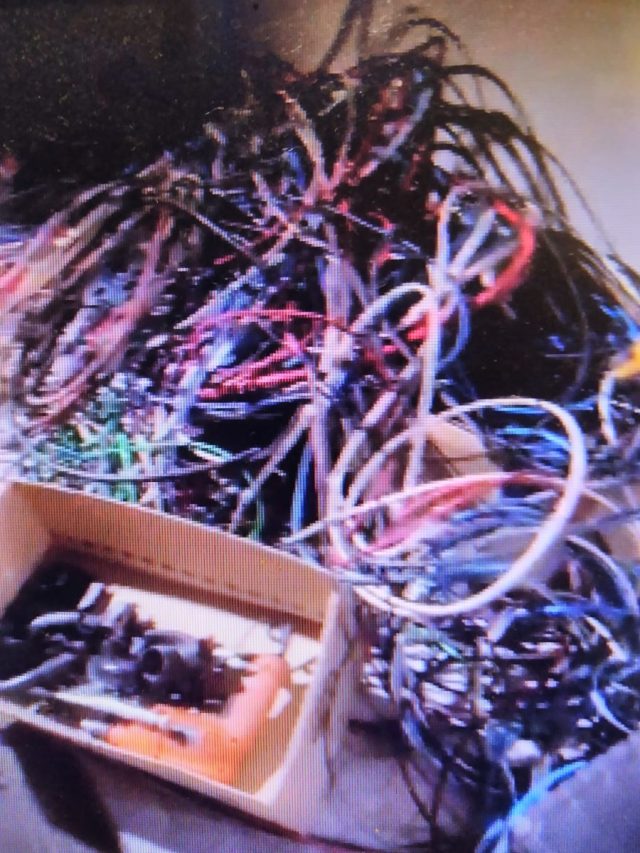 WhatsApp Image 2025-10-07 at 07.04.27