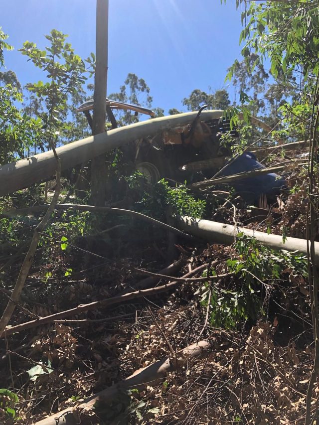 WhatsApp Image 2025-11-11 at 07.49.05