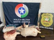 Homem é preso com munições e carcaças de animais silvestres em freezer