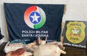 Homem é preso com munições e carcaças de animais silvestres em freezer