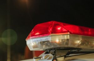 Filha agride a própria mãe e incita cão Pitbull que ataca e morde policial