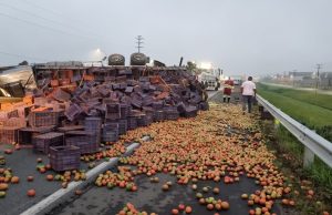 Caminhão carregado com tomates tomba na BR-101 em Sangão