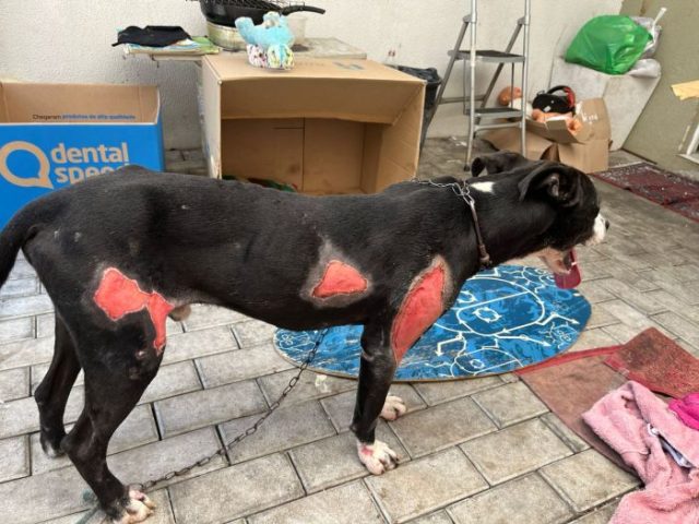 WhatsApp Image 2025-12-17 at 07.20.51