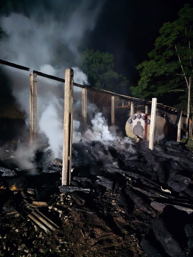 WhatsApp Image 2025-12-23 at 08.22.14