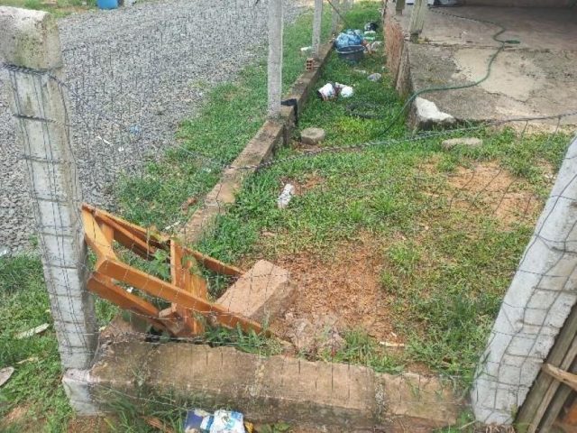 ataque-de-caes-na-operaria-dia-25